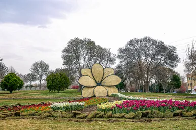 شهرتکانی