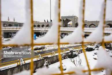 گزارش تصویری | بارش زیبای برف در مشهد