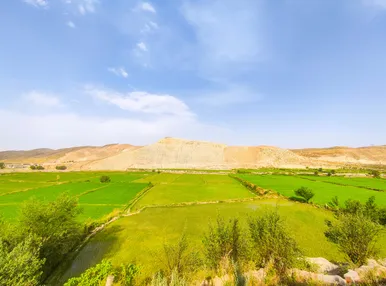 مزارع شالیکاری کلات نادری
