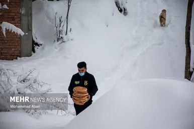 برف در رامیان