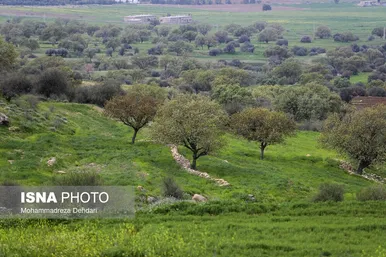 ایران زیباست | زمستان بَهاری در فارس