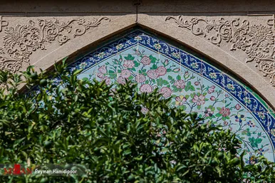 روز بزرگداشت حافظ