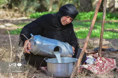 پرورش گاومیش «خوزستان»