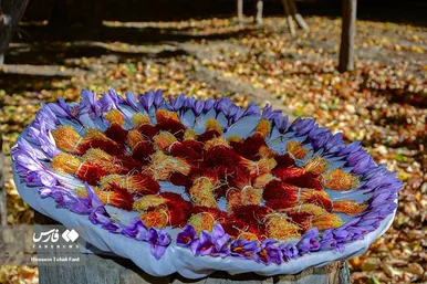 ایران زیباست | برداشت طلای سرخ در خراسان جنوبی