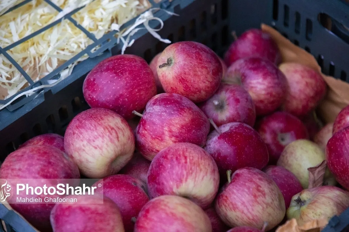 استقرار ۱۶سکوی عرضه میوه شب‌عید در مشهد
