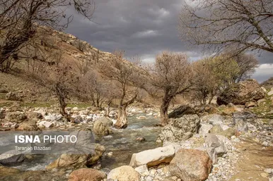 ایران زیباست | مخمل کوه در گستره زاگرس - لرستان
