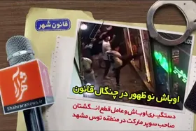 ویدئو| دستگیری اوباش نو ظهور در کمترین زمان