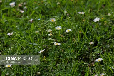 ایران زیباست | طبیعت زیبای رودبار