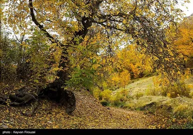 ایران زیباست | پاییز رنگارنگ کردستان