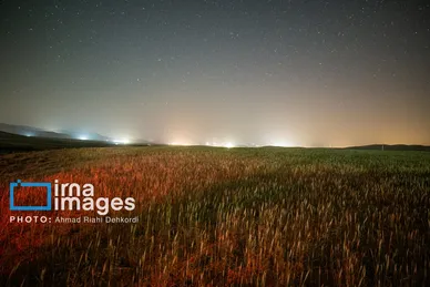 عکس‌هایی از بارش شهابی برساوشی