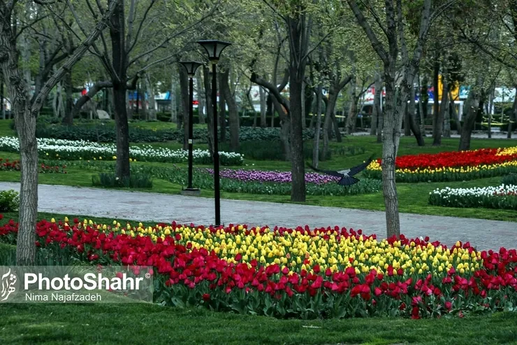 از مجسمه «سوگ سهراب» در مشهد رونمایی می‌شود