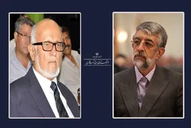 رئیس فرهنگستان زبان و ادب فارسی درگذشت شاه علی&zwnj;اکبر شهرستانی را تسلیت گفت