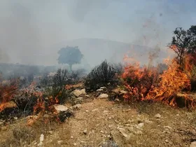 آتش&zwnj;سوزی در مزارع روستای &laquo;چارمه&raquo; شهرستان کهگیلویه خاموش شد (۱۱ خرداد ۱۴۰۵)