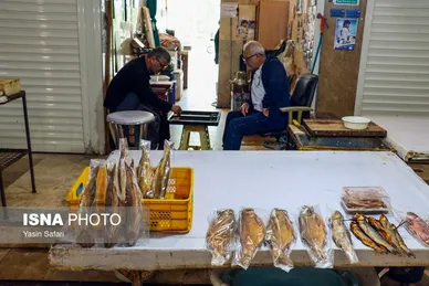 عکس‌هایی از ماهی‌های دودخانه - بندر انزلی