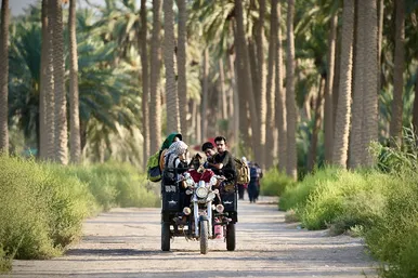 زائران پیاده در مسیر کربلا