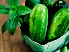 راه حل&zwnj;های طبیعی برای فرار از گرما و درمان آفتاب سوختگی