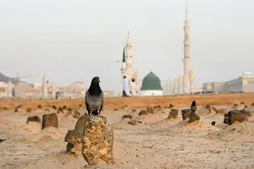 حکایت ما مدینه نرفته&zwnj;ها