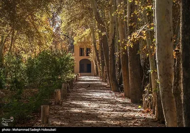 ایران زیباست | طبیعت باغ پهلوان پور- مهریز