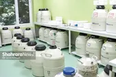 نگاهی به اقدامات مرکز درمانی میلاد مشهد برای زوج‌های نابارور