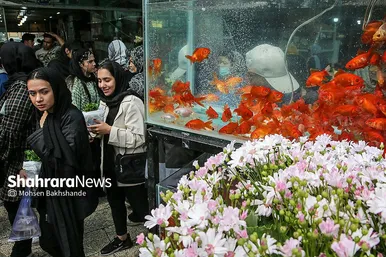 حال و هوای بازار گل در آستانه عید نوروز