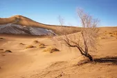 گردشگری فردوس در زمستان می‌شکفد