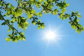 دمای بیش از ۴۰ درجه در ۱۰ شهر خراسان رضوی ثبت شد (۲۶ تیر ۱۴۰۵)