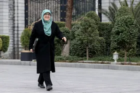 مهاجرانی: گزارش حوادث اخیر دانشگاه ها در هیئت دولت ارائه شد | دور سوم مذاکرات هسته ای فردا در ژنو انجام می شود