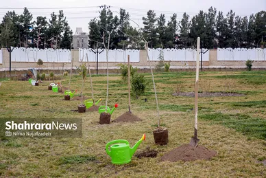 شهر تکانی در مشهدالرضا