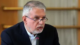 صالحی امیری: بیش از ۸۰ درصد از گردشگران امنیت ایران را تایید می&zwnj;کنند