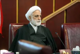 رئیس کمیسیون حقوقی و قضایی مجمع تشخیص انتخاب شد
