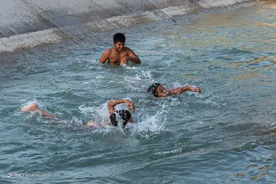 فرار از گرمای تابستان بوشهر