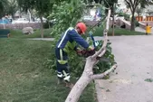 خدمت‌رسانی بیش از ۷۰۰ نفر از پرسنل خدمات شهری شهرداری مشهد در پی وزش باد‌های شدید ۲۷ اردیبهشت‌ماه