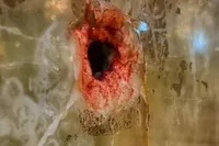 جزئیات جدید از حادثه تروریستی شاهچراغ شیراز (۲۲ مرداد ۱۴۰۲)