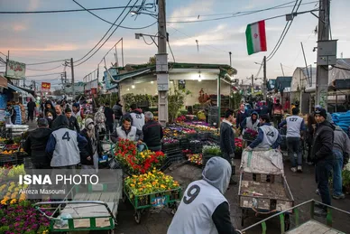 بازار گل محلاتی تهران در آستانه سال نو