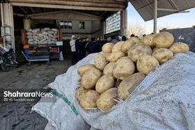 قیمت امروز میوه و صیفی&zwnj;جات در مشهد (۱۷ فروردین ۱۴۰۴) | سیب زمینی سر به فلک کشید