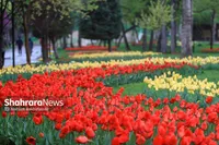 ویدئو | جشنواره گل‌های لاله پارک ملت