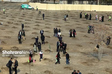 پویش سراسری درخت‌کاری در بوستان جهانشهر