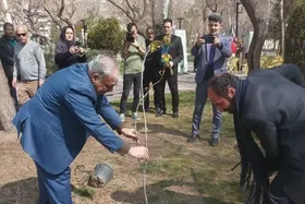 همایش &laquo;درخت دانایی&raquo; در مشهد برگزار شد