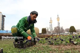 اصلاح ۷۰ هکتار از فضای سبز مشهد با الگوی کاشت کم&zwnj;مصرف