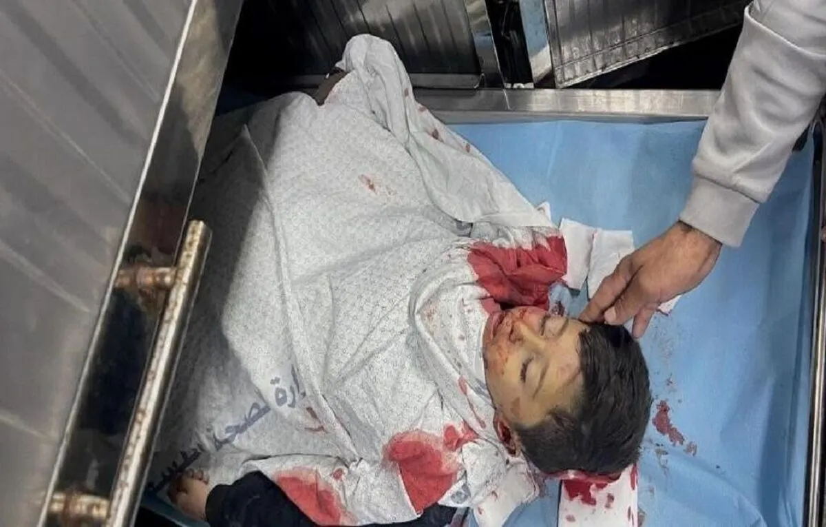 تعداد شهدای غزه به بیش از ۶۵۰۰ نفر رسید