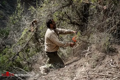 آتش سوزی منطقه حفاظت شده جهان نمای  گلستان