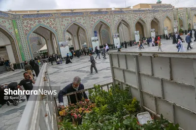 عکس‌هایی از گل آرایی حرم مطهر رضوی در دهه کرامت