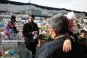بازار گل مشهد در آستانه سال نو