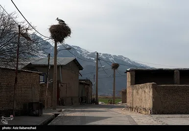 ایران زیباست | همزیستی لک لک‌ها در روستای کپر جودکی بروجرد با مردم روستا