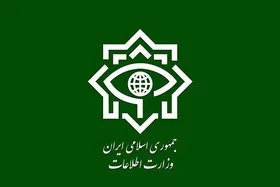دومین اطلاعیه&zwnj; وزارت اطلاعات درباره فاجعه&zwnj; تروریستی کرمان | بازداشت ۳۵ نفر از عوامل پشتیبانی تروریست&zwnj;ها + فیلم