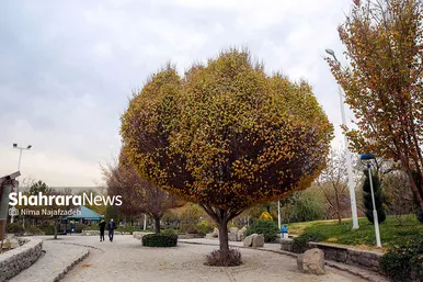 طبیعت پاییزی بوستان های مشهد