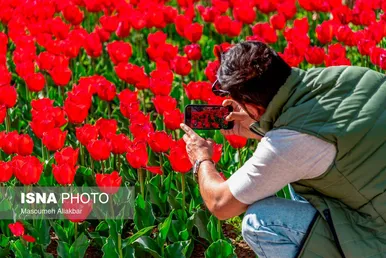 ایران زیباست؛ نهمین جشنواره لاله‌ کرج