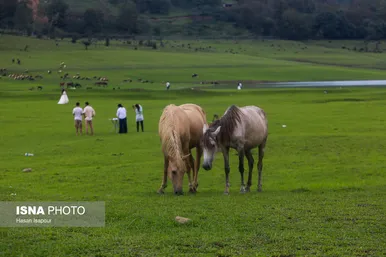 گزارش تصویری | ایران زیباست؛ سوادکوه