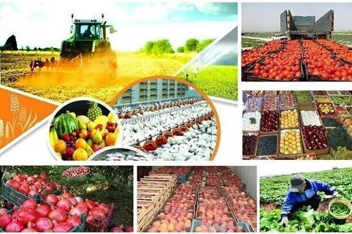جنگ صهیونی-آمریکایی علیه ایران قیمت محصولات کشاورزی در بازار جهانی را افزایش داد