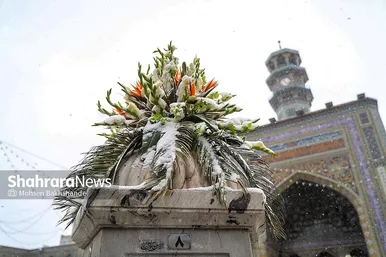 گزارش تصویری | یک روز برفی در حرم مطهر امام رضا(ع) - ۲۱ بهمن ۱۴۰۳